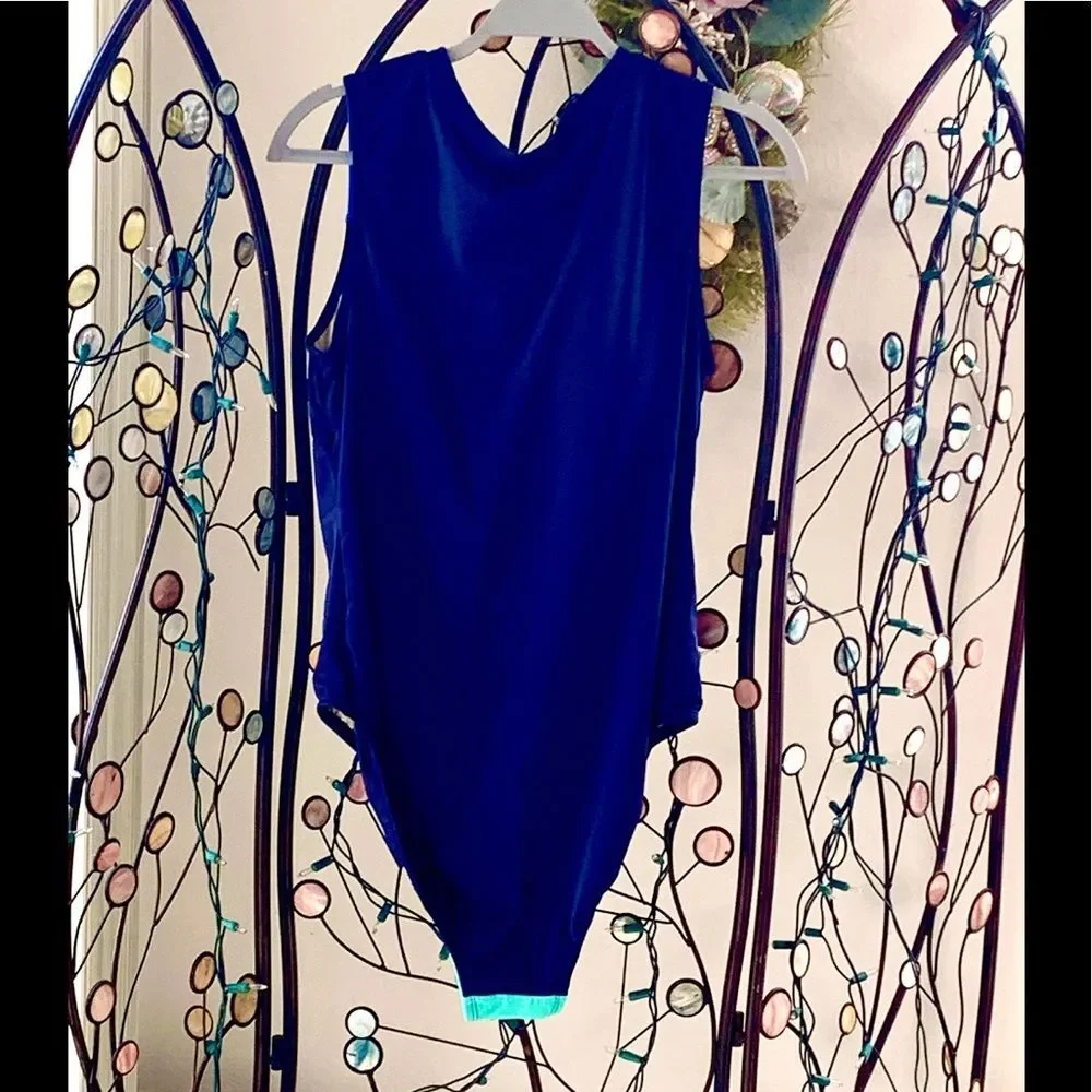 One Piece Swimsuits Size 16